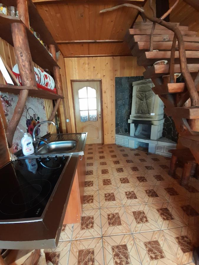 Cottage Zhelikhovskykh 타타리브 외부 사진